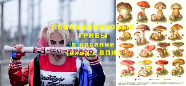 хмурый Протвино