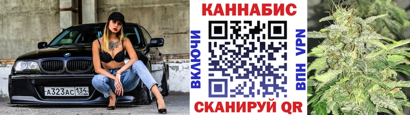 Бошки Шишки планчик  Болохово 